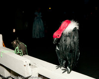 6376 Halloween on Vashon 2011